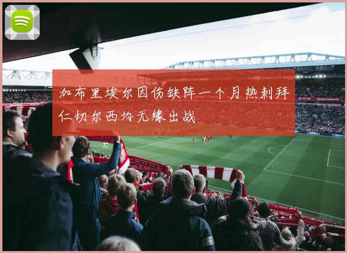 加布里埃尔因伤缺阵一个月热刺拜仁切尔西均无缘出战