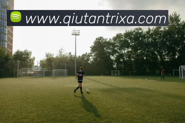 球探体育平台生态图